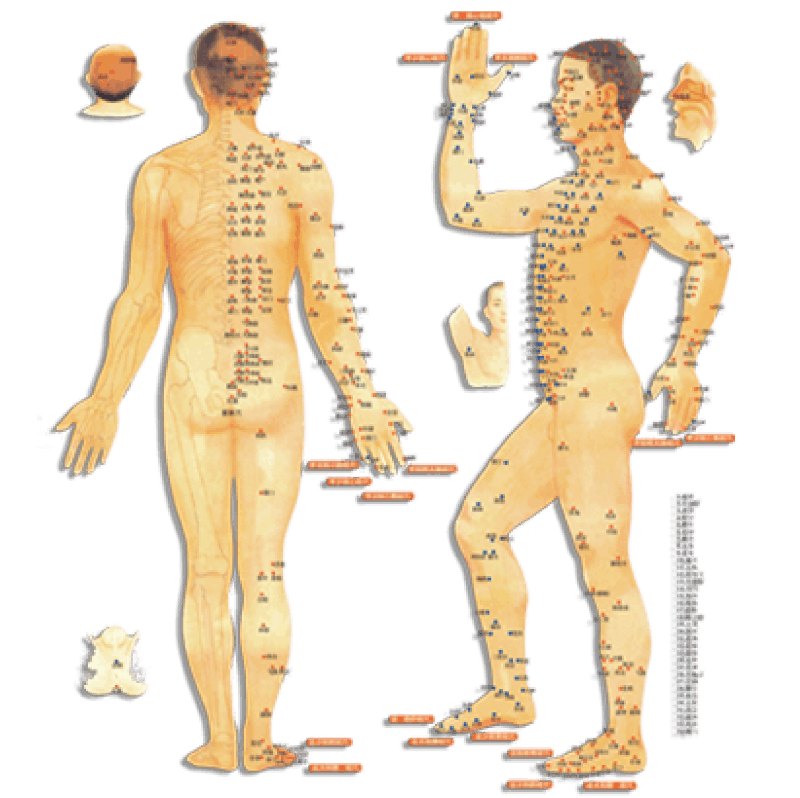 Acupressure Png Course Image
